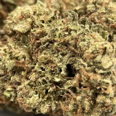 Grape Gas – Fleur CBD Française fruitée & diesel | GreenCrew