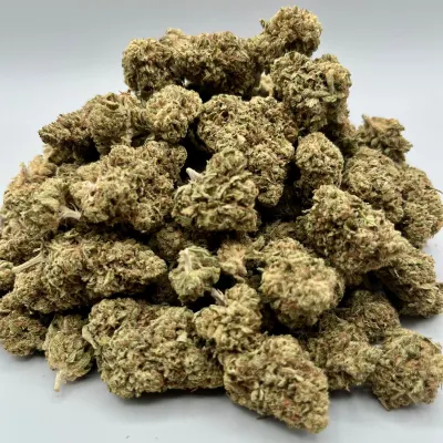 Grape Gas – Fleur CBD Française fruitée & diesel | GreenCrew