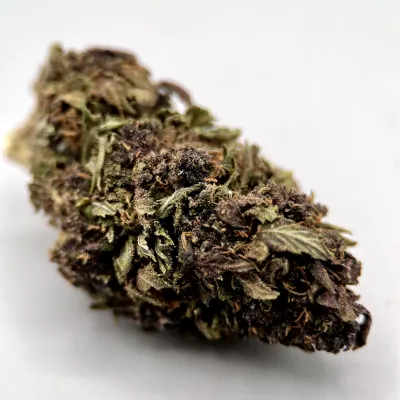 Blue Meringue Diesel, Fleur CBD Bio Française greenhouse | GreenCrew.fr
