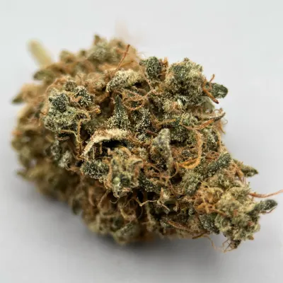 Strawberry Squeeze - Fleur CBD Indoor Fraise & Gaz | Greencrew.fr