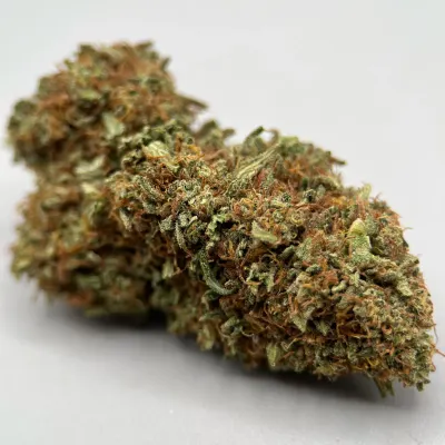 Chocolate Covered Strawberry CBD Bio Light Dep | Terpz x Tomine