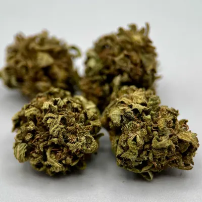 Double Peach - Fleur CBD Outdoor Small Bud Normandie | Greencrew
