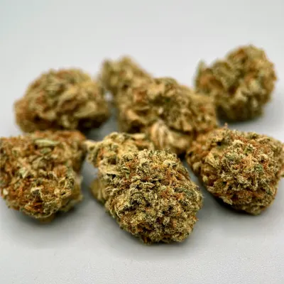 Interstellar Small Bud - Fleur CBD Kush | Greencrew | Occitanie – Hera