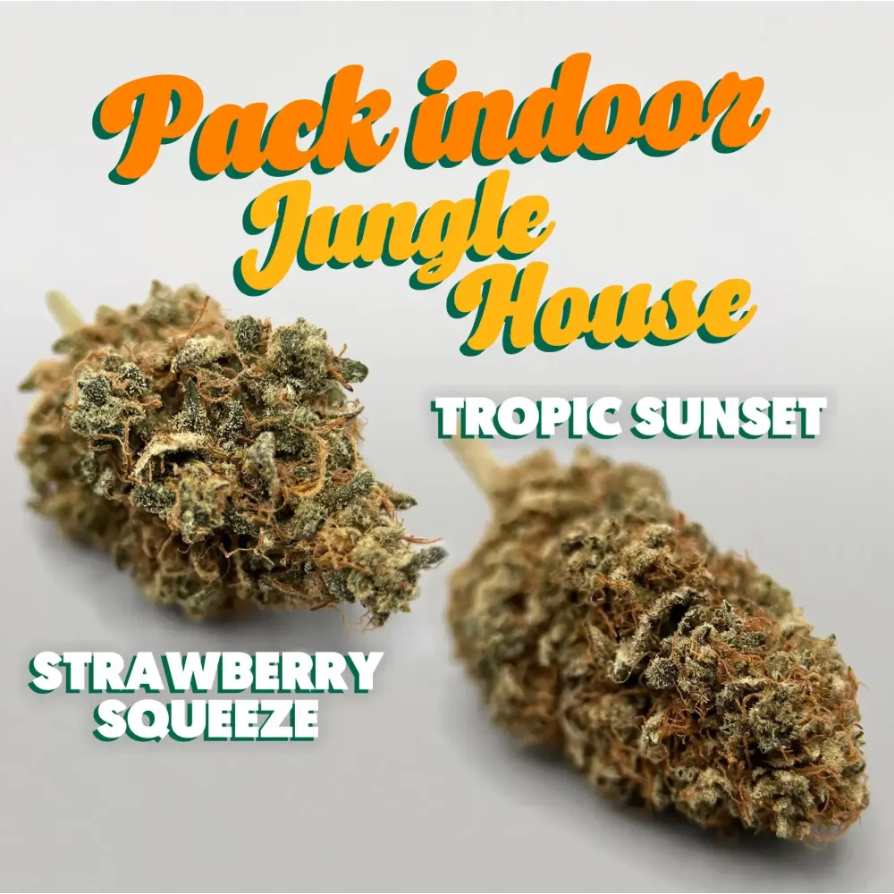 Pack CBD Indoor Jungle House – Strawberry & Tropic | Greencrew.fr