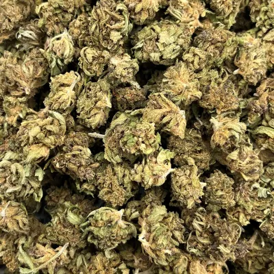 Blood Lime CBD France | Chanvre Bio pas cher |  Indoor | GreenCrew