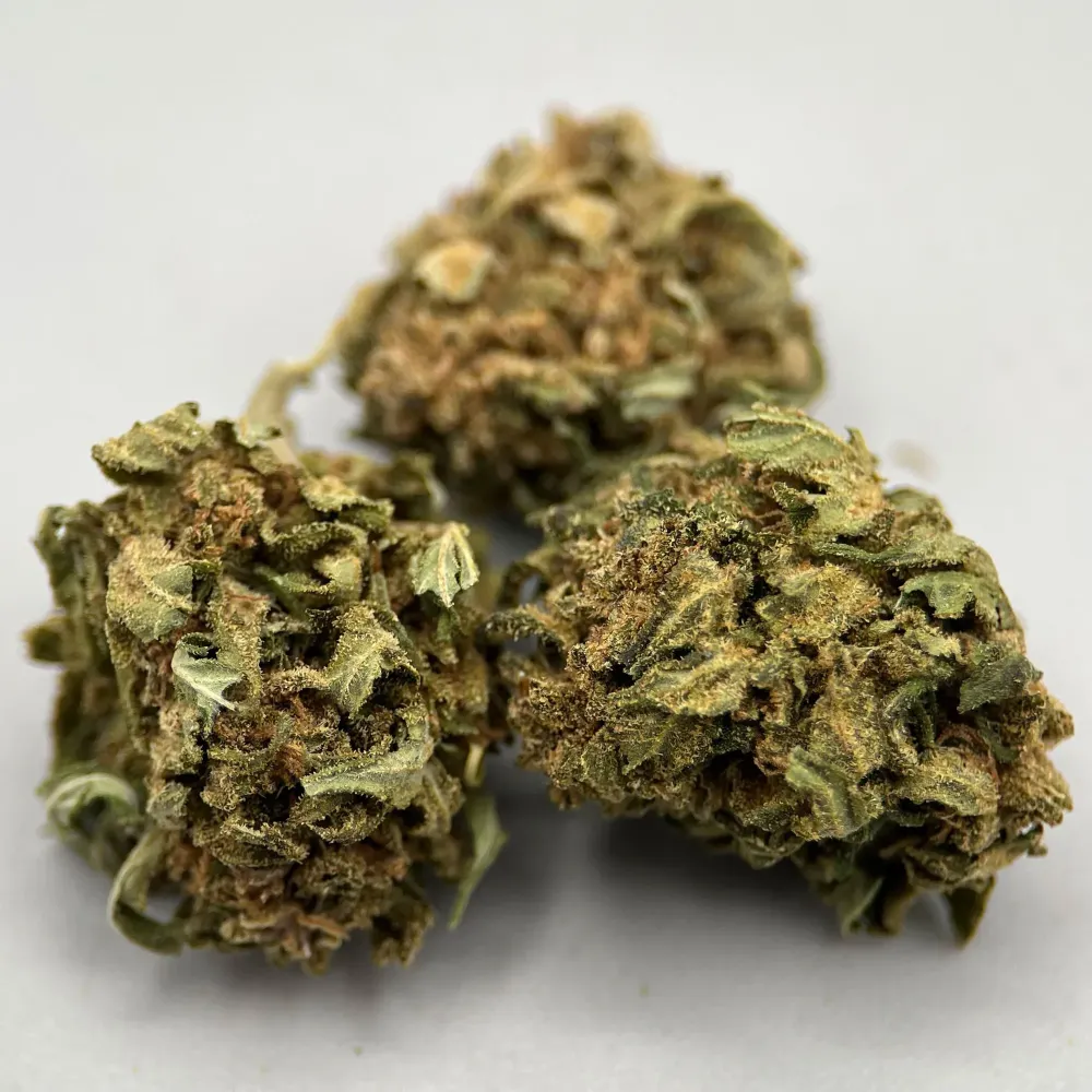 Blood Lime CBD France | Chanvre Bio pas cher |  Indoor | GreenCrew