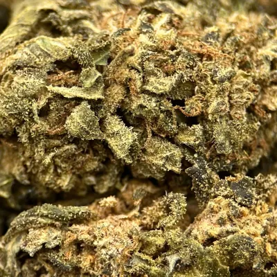 OG Kush CBD France | Chanvre Bio pas cher |  Indoor | GreenCrew