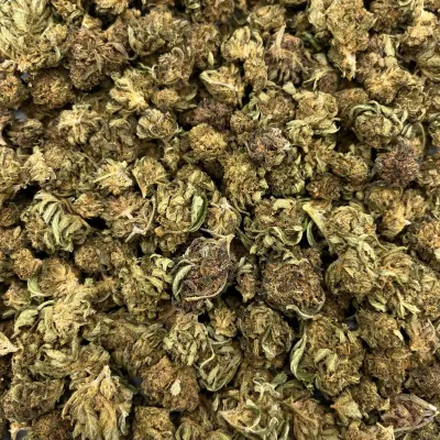 OG Kush CBD France | Chanvre Bio pas cher |  Indoor | GreenCrew