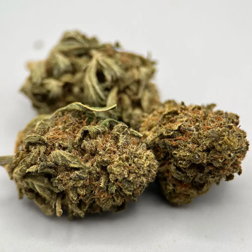 OG Kush CBD France | Chanvre Bio pas cher |  Indoor | GreenCrew