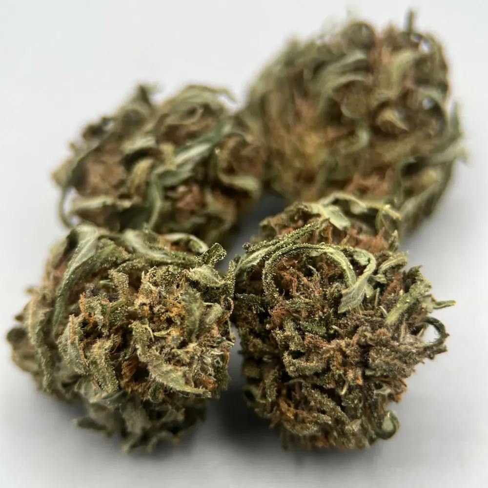 Legendary OG CBD France | Chanvre Bio pas cher |  Greenhouse | GreenCrew
