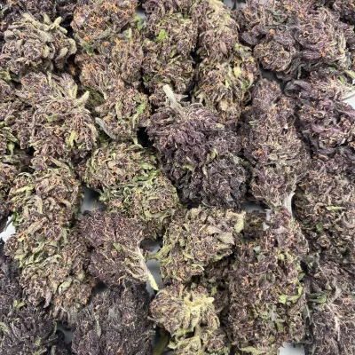 Sapphire Kush - Fleur Bio CBD Greenhouse Primée | GreenCrew