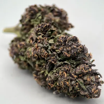 Sapphire Kush - Fleur Bio CBD Greenhouse Primée | GreenCrew