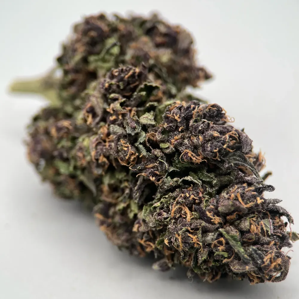 Sapphire Kush - Fleur Bio CBD Greenhouse Primée | GreenCrew