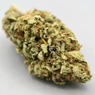 Interstellar - Fleur CBD Bio Kush sucré | Greencrew | Occitanie - Hera