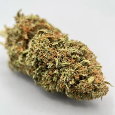 Interstellar Small Bud - Fleur CBD Kush | Greencrew | Occitanie – Hera