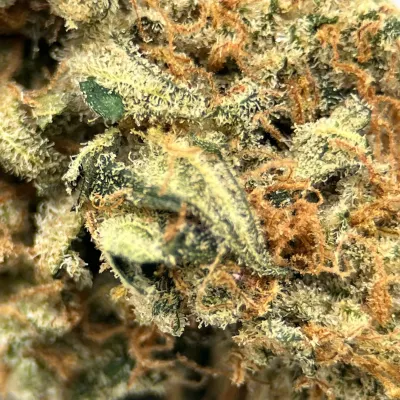 Lemon Grace - CBD Bio, Primée aux Arômes Acidulés | Greencrew