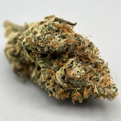 Lemon Grace - CBD Bio, Primée aux Arômes Acidulés | Greencrew