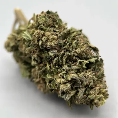 Shiva’s Nectar CBD Outdoor Bio | Garlic Gas Kush – Smellz Lozère