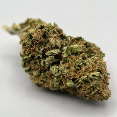 Bubble Gum CBD Bio | Fruits Rouges & Chewing-gum – La Tête à l’Ouest