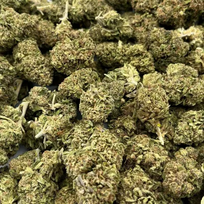 Bubble Gum CBD Bio | Fruits Rouges & Chewing-gum – La Tête à l’Ouest