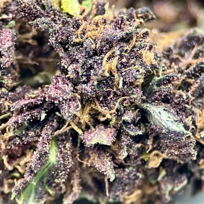 Strawberry Doughnuts Purple CBD – Exclu 🍓 | Normandie | Greencrew