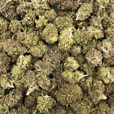 Strawberry Doughnuts Green CBD – Exclu 🍓 | Normandie | Greencrew