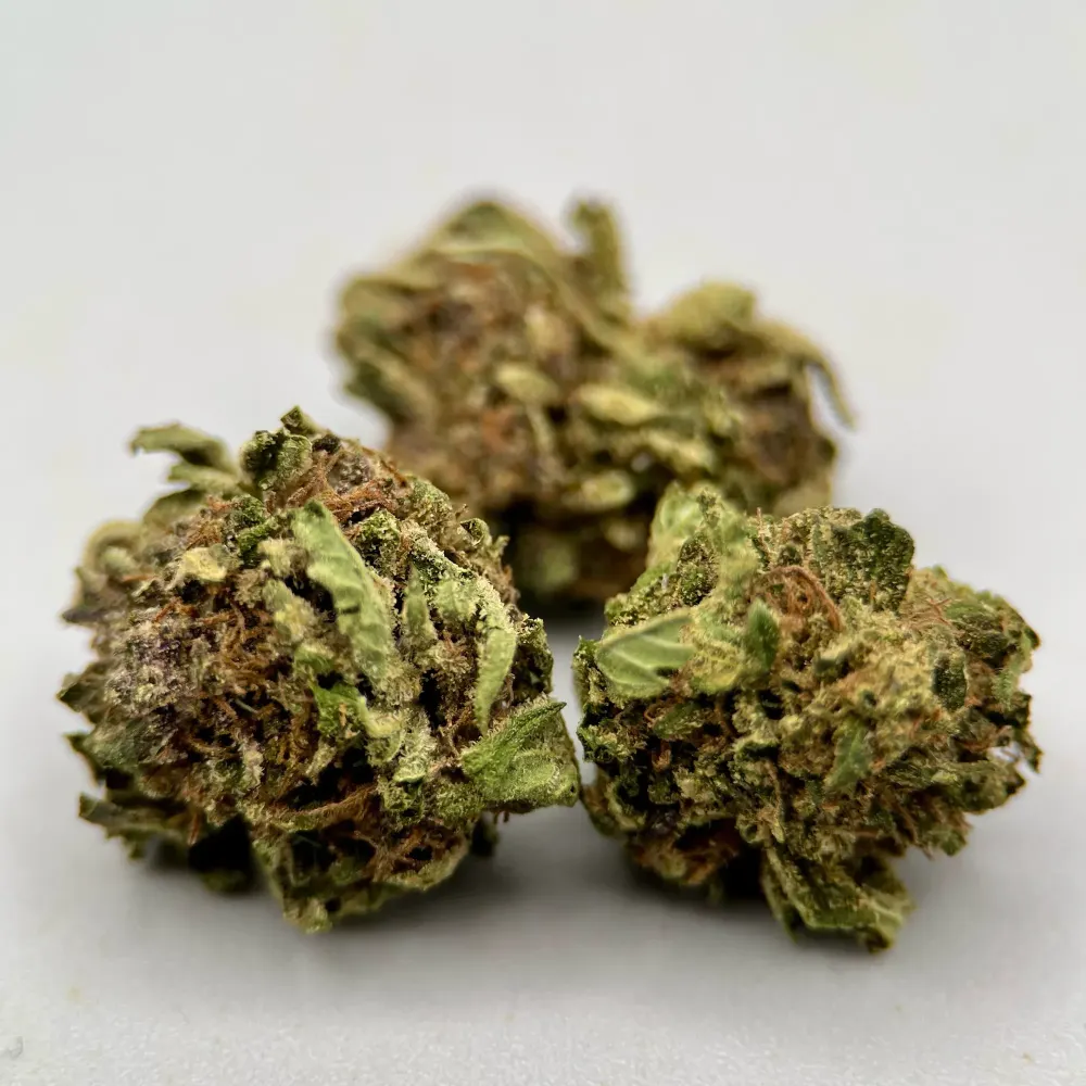 Strawberry Payton CBD Small Buds | Fraise Crémeuse & Gaz – La Tête à l’Ouest