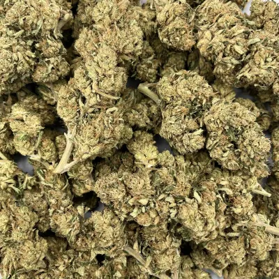 Dark Saphir - CBD Bio, Primée aux Arômes kush | Happy Pousse | Greencrew