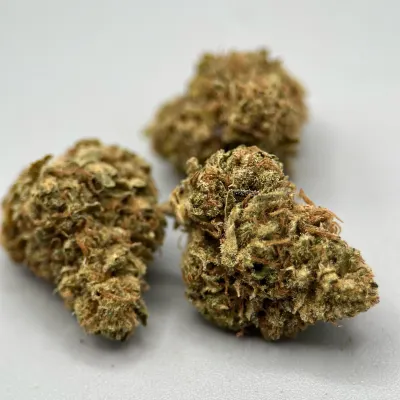 Grape Gas – Fleur CBD Française fruitée & diesel | GreenCrew