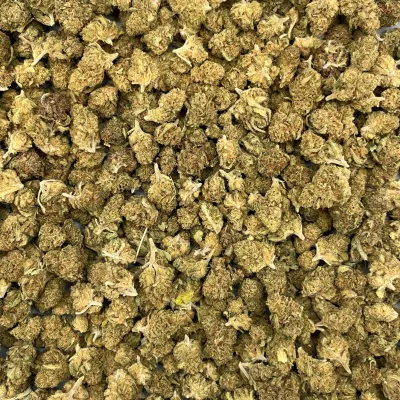 Grape Gas Small - Fleur CBD Française fruitée & diesel | GreenCrew