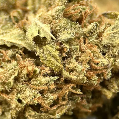 Grape Gas Small - Fleur CBD Française fruitée & diesel | GreenCrew