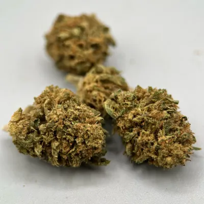 G2 Kush Small Bud CBD - Exclu Greencrew | HERA