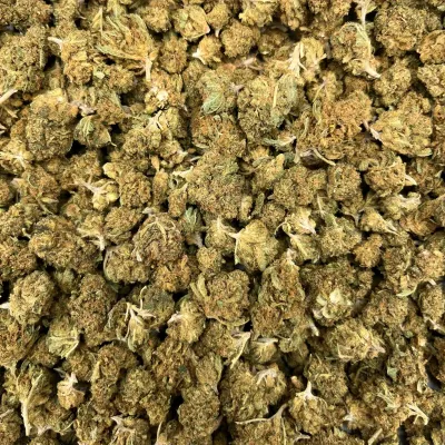 G2 Kush Small Bud CBD - Exclu Greencrew | HERA