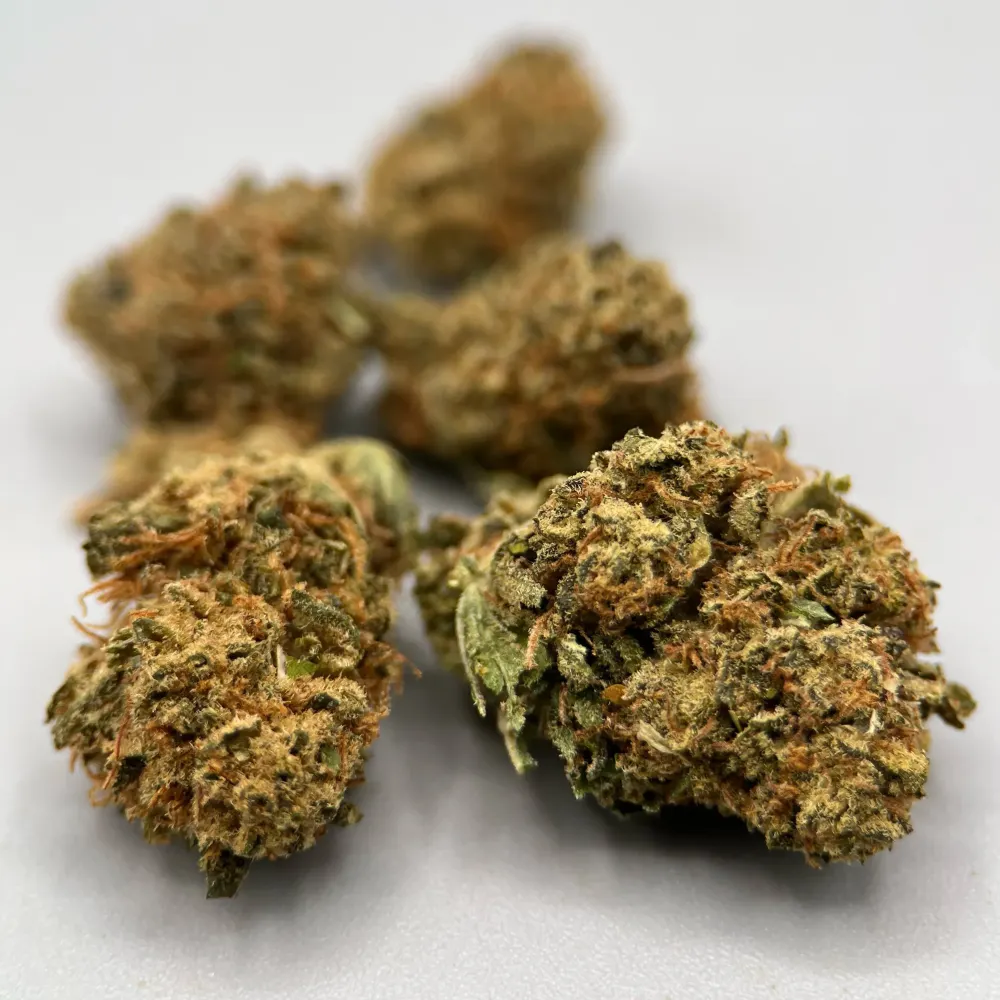Tropical Meringue Small Bud CBD - Exclu Greencrew | HERA