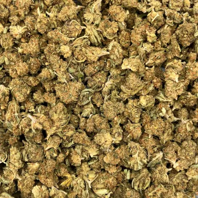 Tropical Meringue Small Bud CBD - Exclu Greencrew | HERA