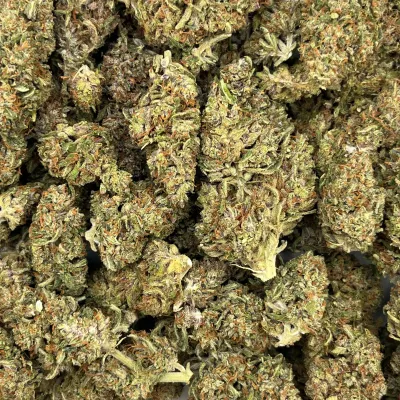 Skunk Works CBD 2026 Light Dep Bio | Tomine X Terpz en herbe