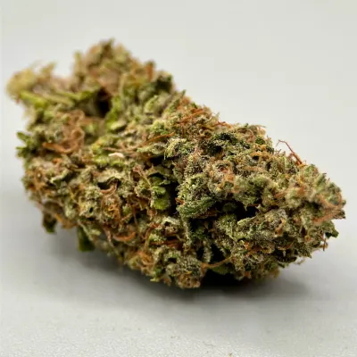Skunk Works CBD 2026 Light Dep Bio | Tomine X Terpz en herbe