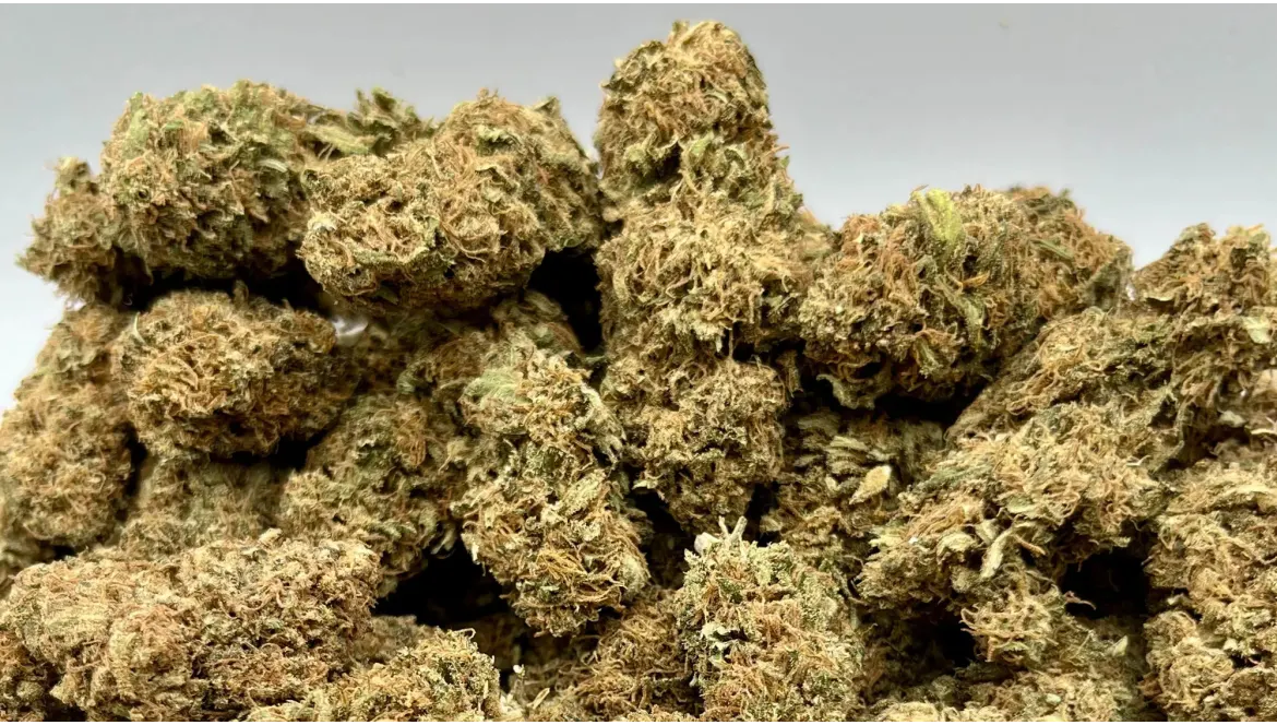 Sour Berry - Review par Mon Ika (CBD Full Spectrum Family Reload)