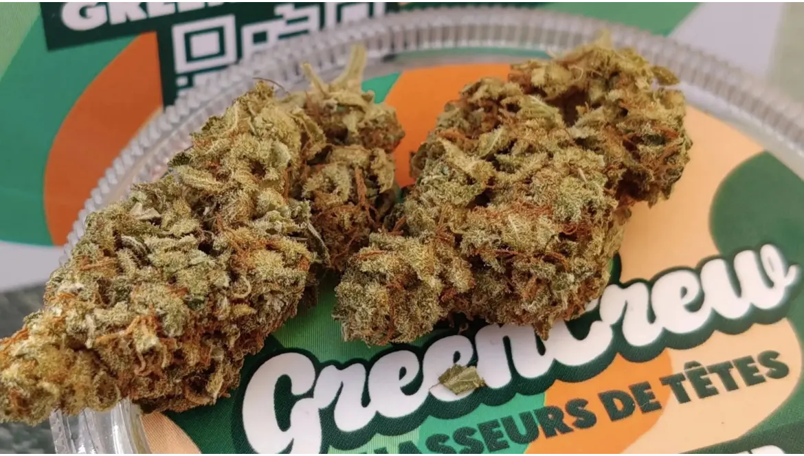 Mango Lassi - Review