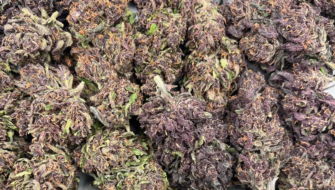 Sapphire Kush de Smellz - Review par Mon Ika