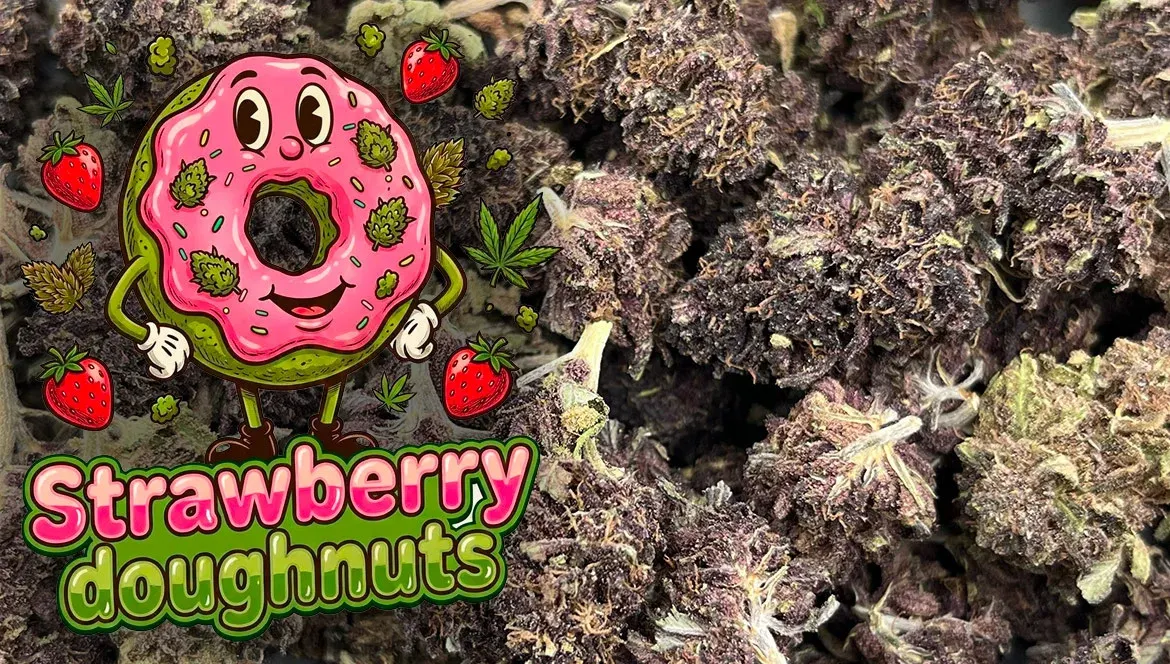 Strawberry Doughnuts Purple - Review par Mon Ika
