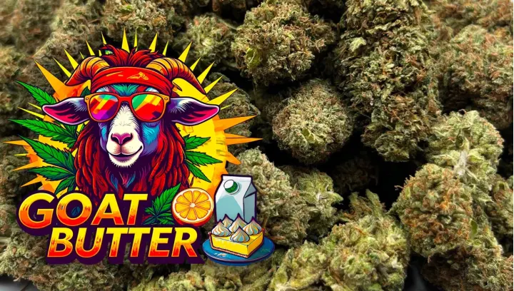 Goat Butter : IS BACK !
