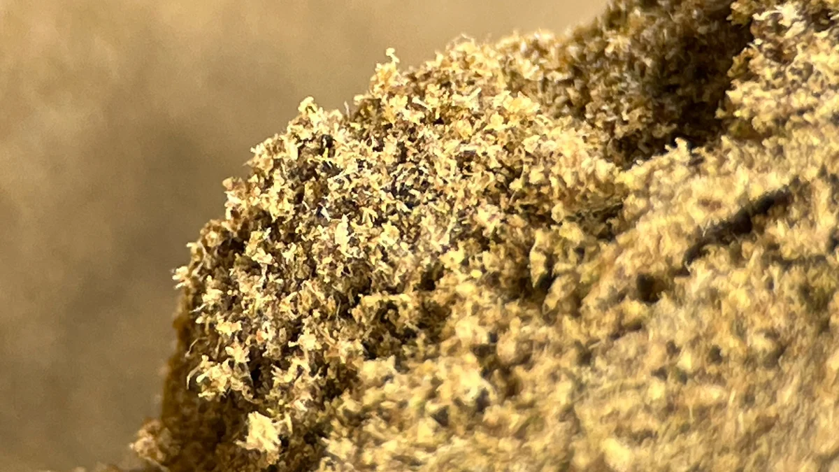 BZHash Maker